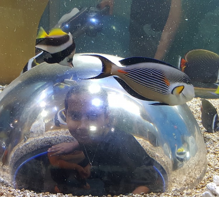 Adventure Aquarium (Camden,&nbspNJ)